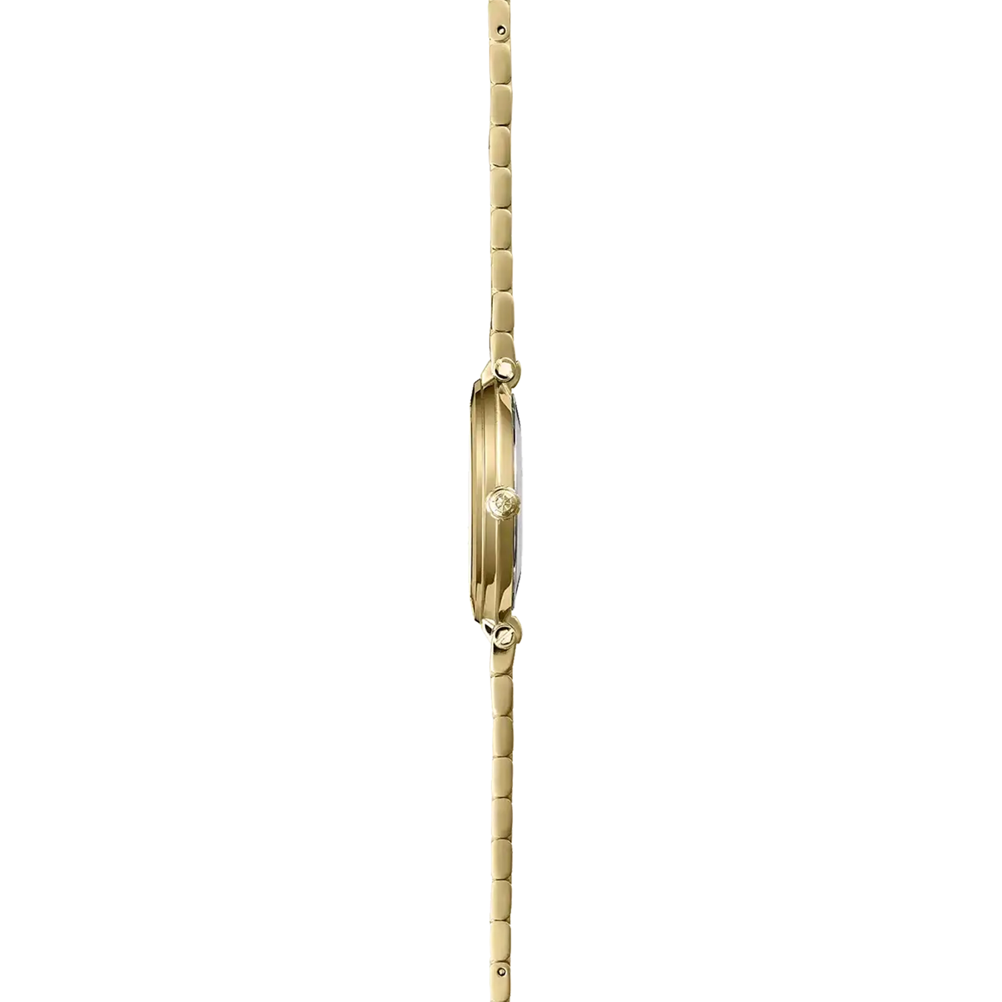 Vue de profil, tranche acier PVD or jaune, couronne et attaches du bracelet acier bicolore