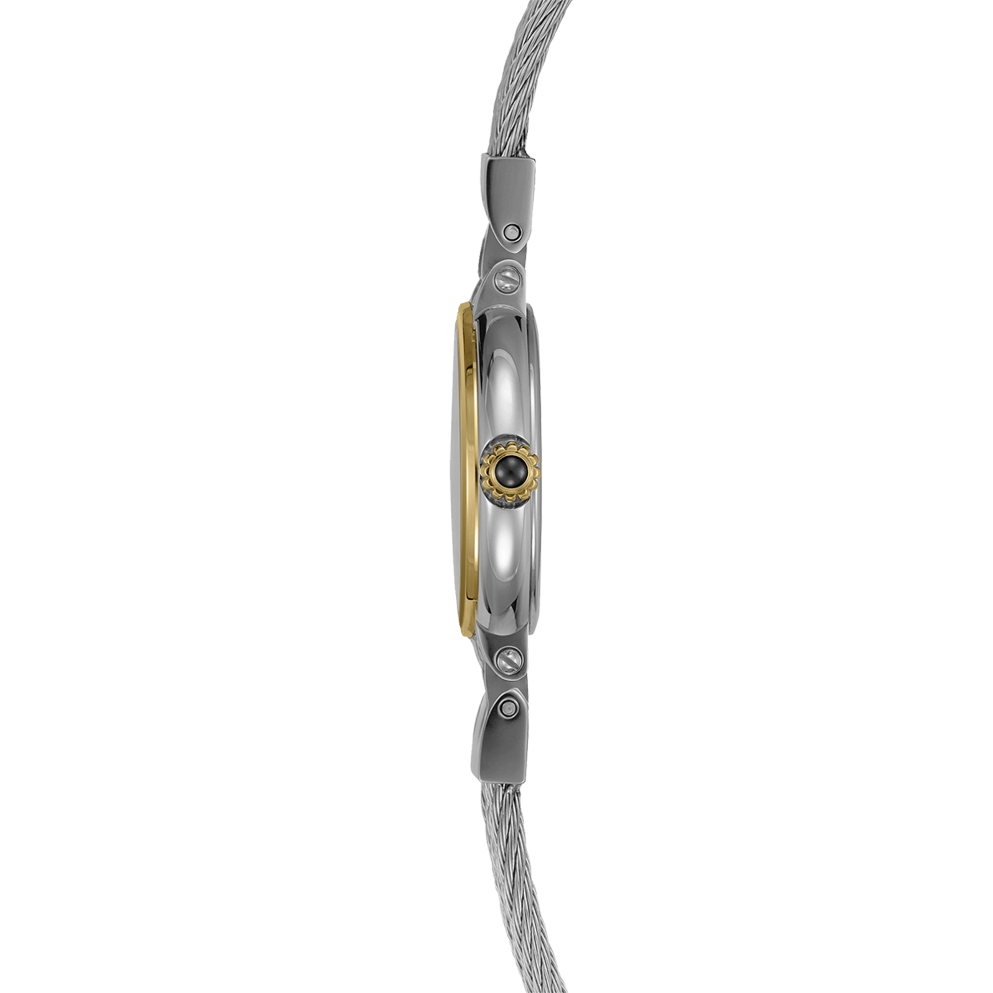 Vue de profil, tranche acier PVD or jaune, couronne et attaches du bracelet acier