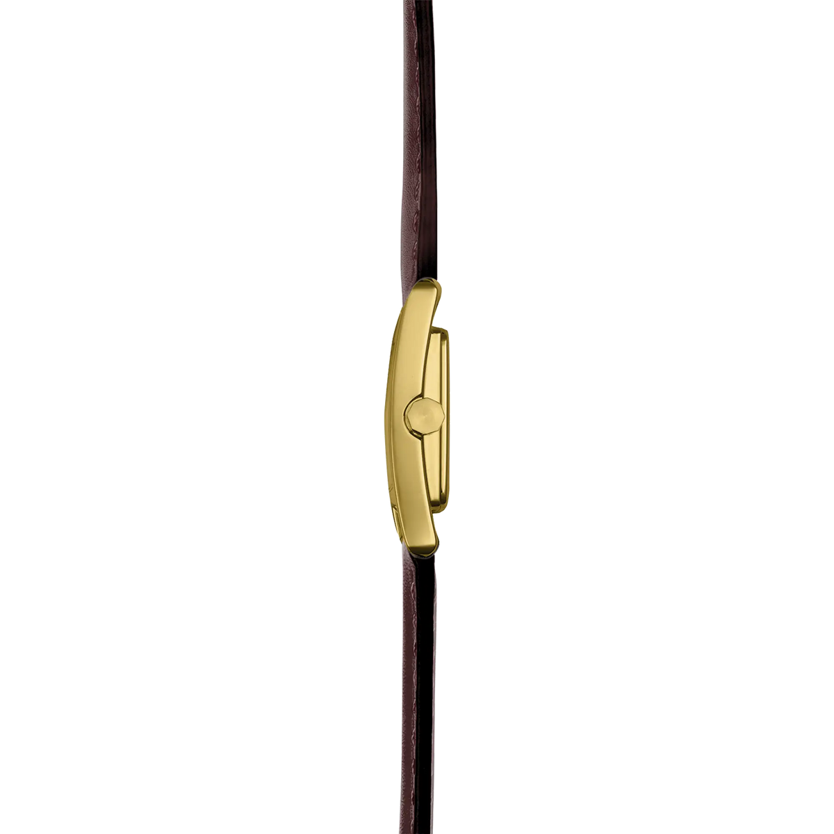 Vue de profil, tranche acier PVD or jaune, couronne et attaches du bracelet cuir