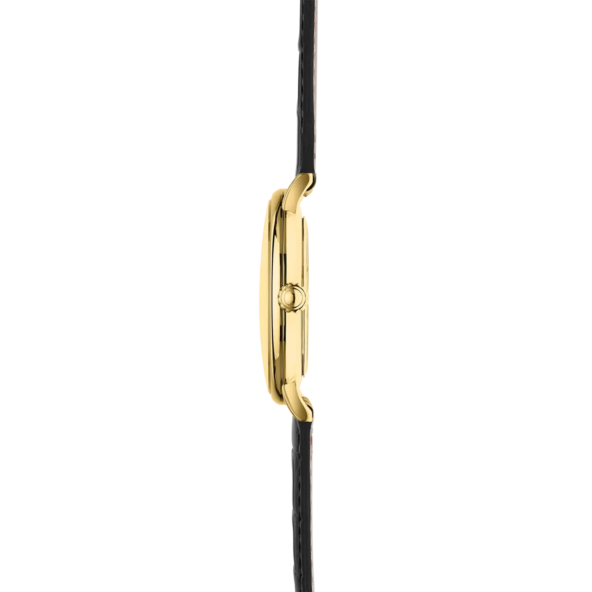 Vue de profil, tranche acier PVD or jaune, couronne et attaches du bracelet cuir