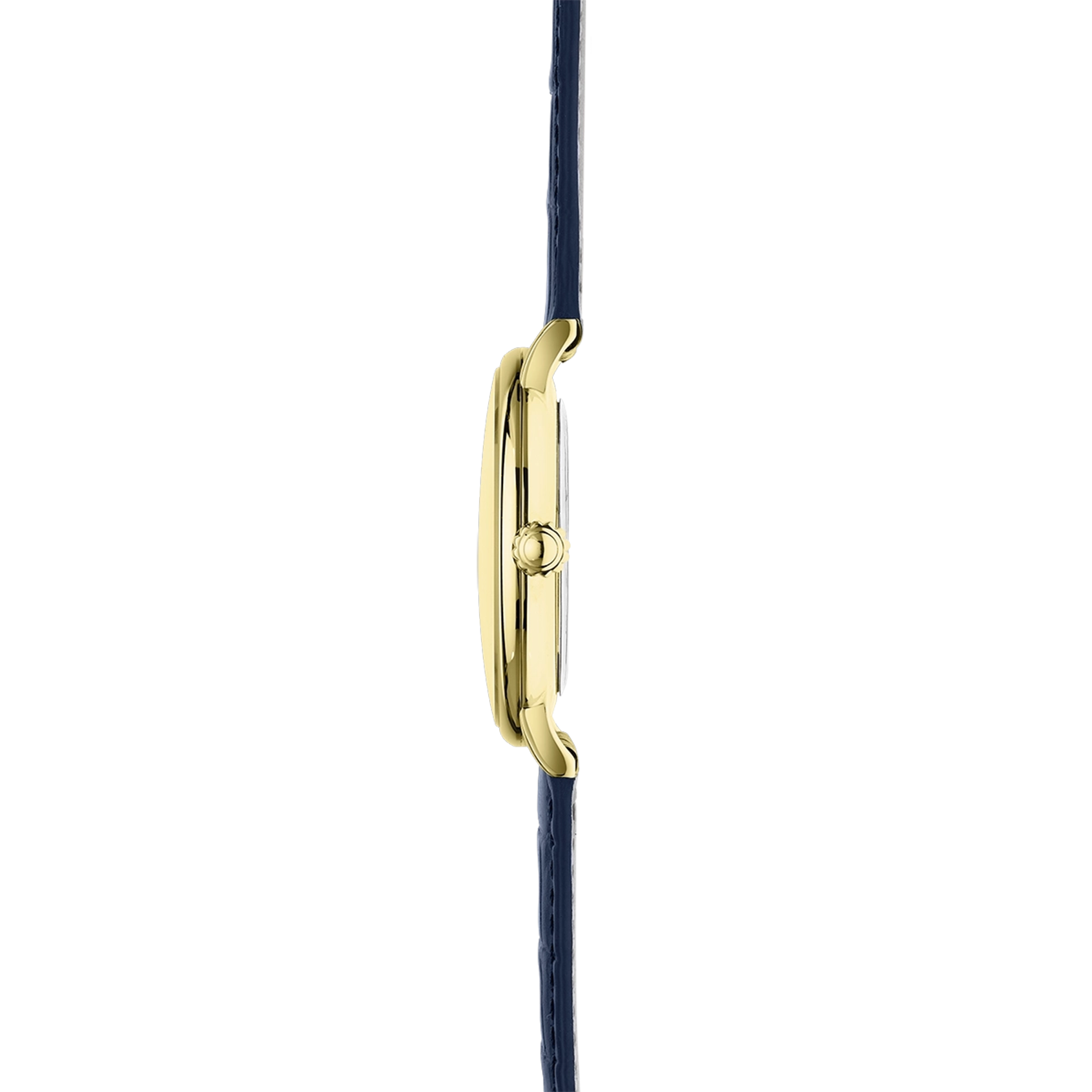 Vue de profil, tranche acier PVD or jaune, couronne et attaches du bracelet cuir
