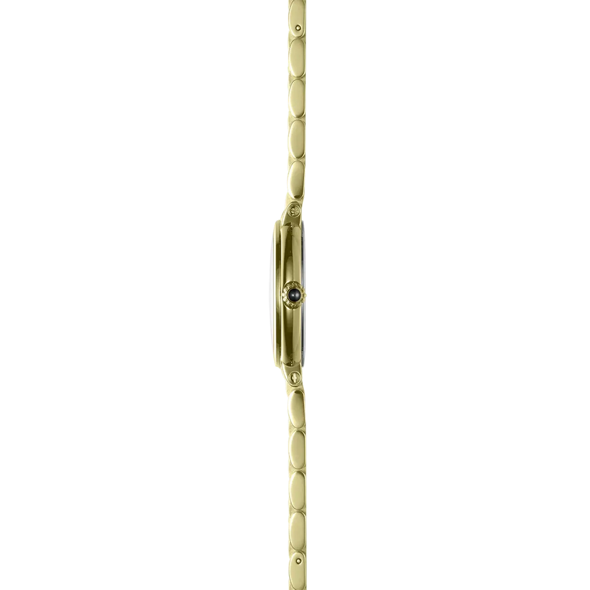 ⁣⁢Vista de perfil, canto de acero PVD oro amarillo, corona y asas del brazalete de acero bicolor⁤⁣