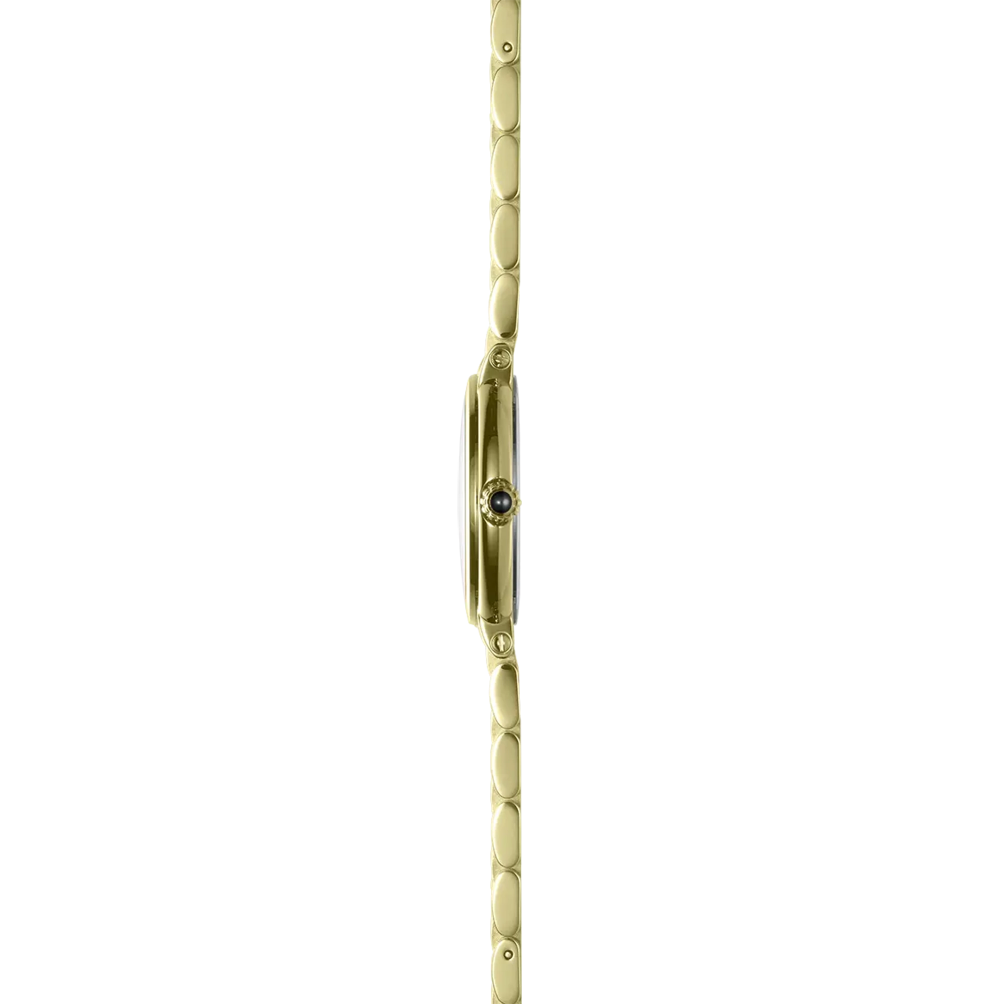 Vue de profil, tranche acier PVD or jaune, couronne et attaches du bracelet acier bicolore