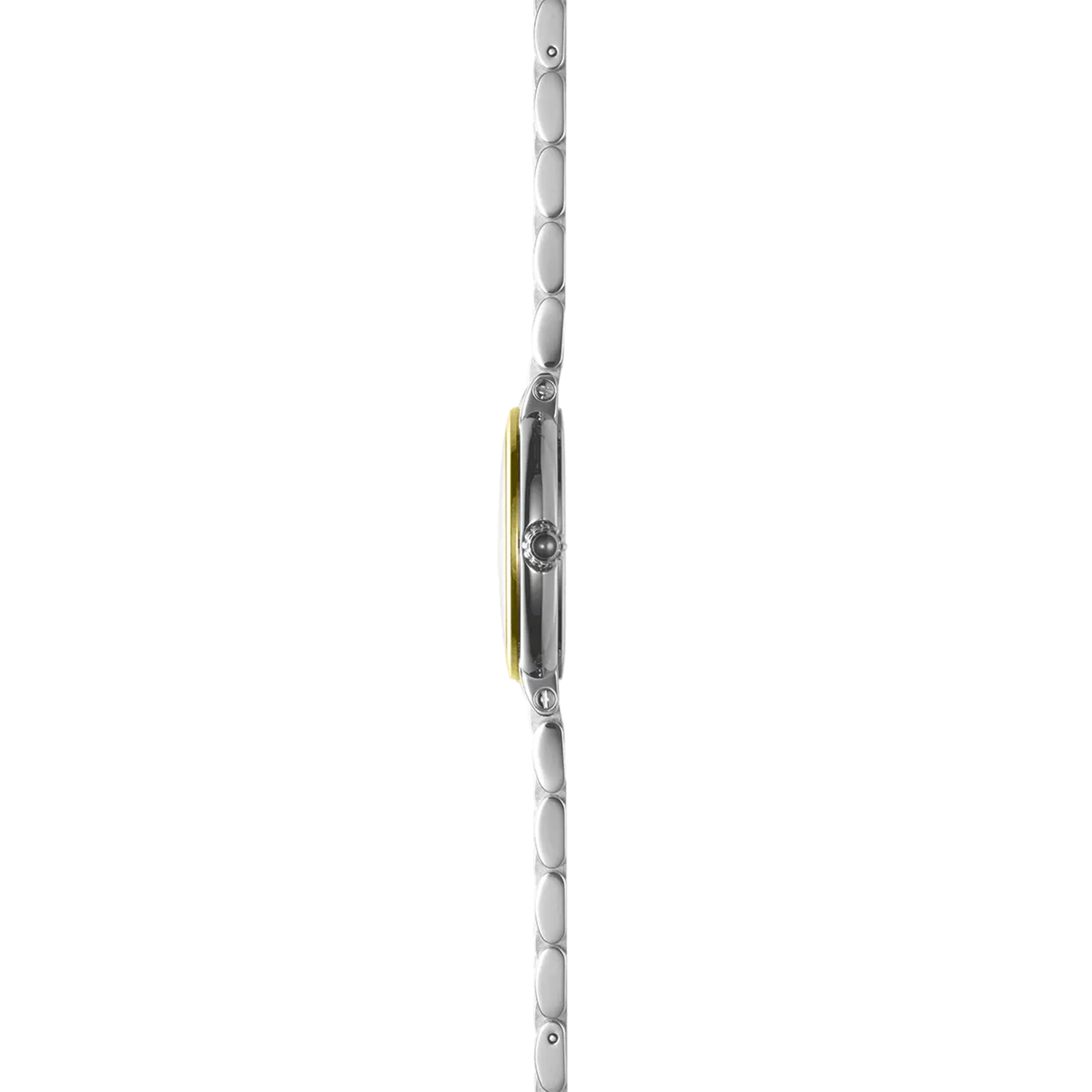 Vue de profil, tranche acier PVD or jaune, couronne et attaches du bracelet acier bicolore