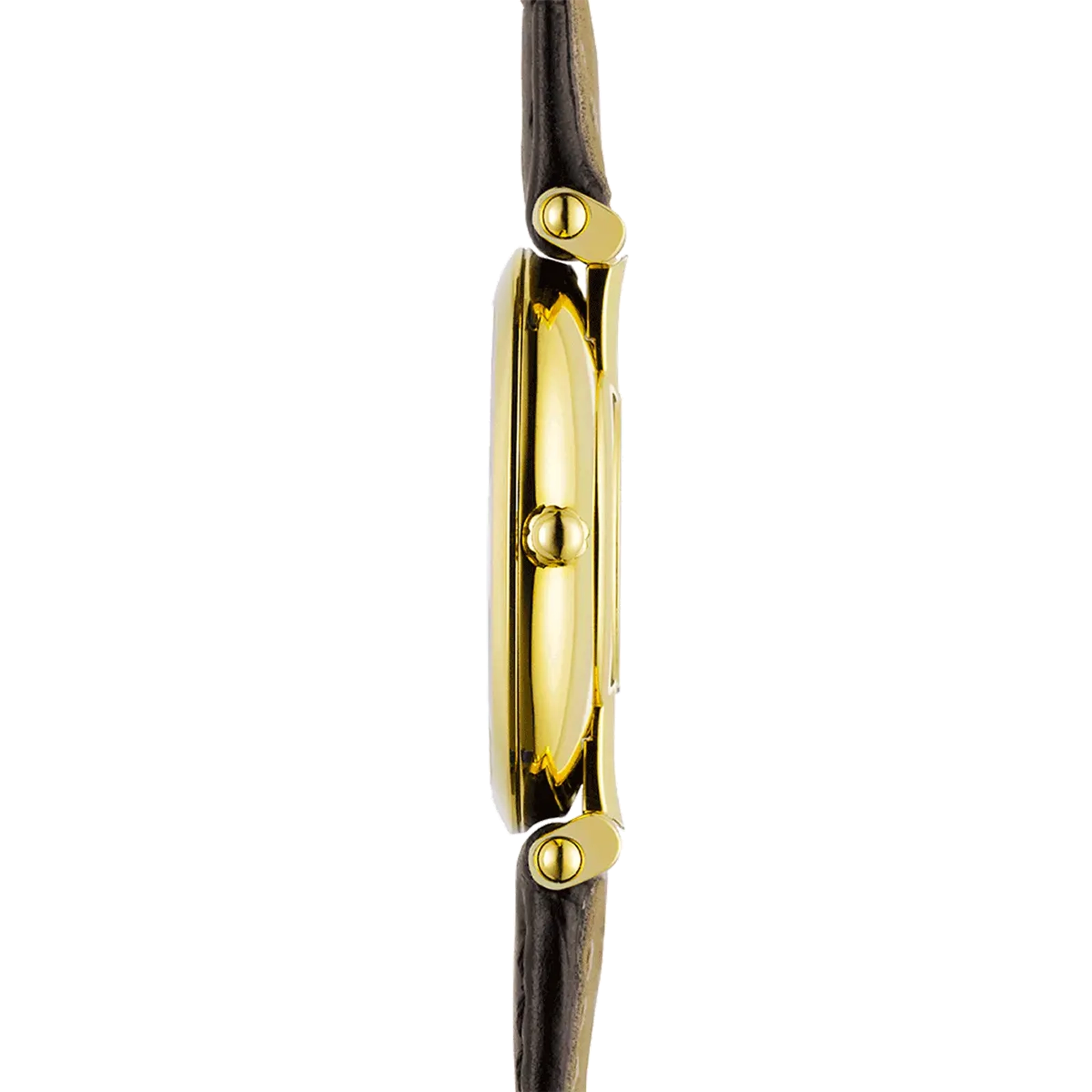 Vue de profil, tranche acier PVD or jaune, couronne et attaches du bracelet cuir