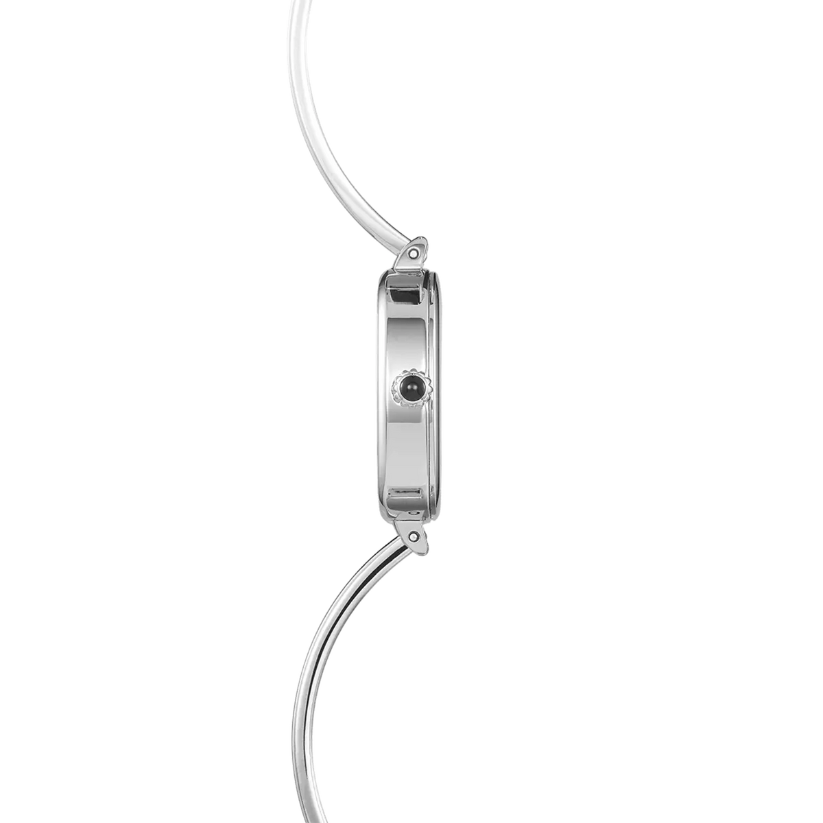 ⁣⁢Profile view, steel caseband, crown and steel bracelet attachments⁤⁣