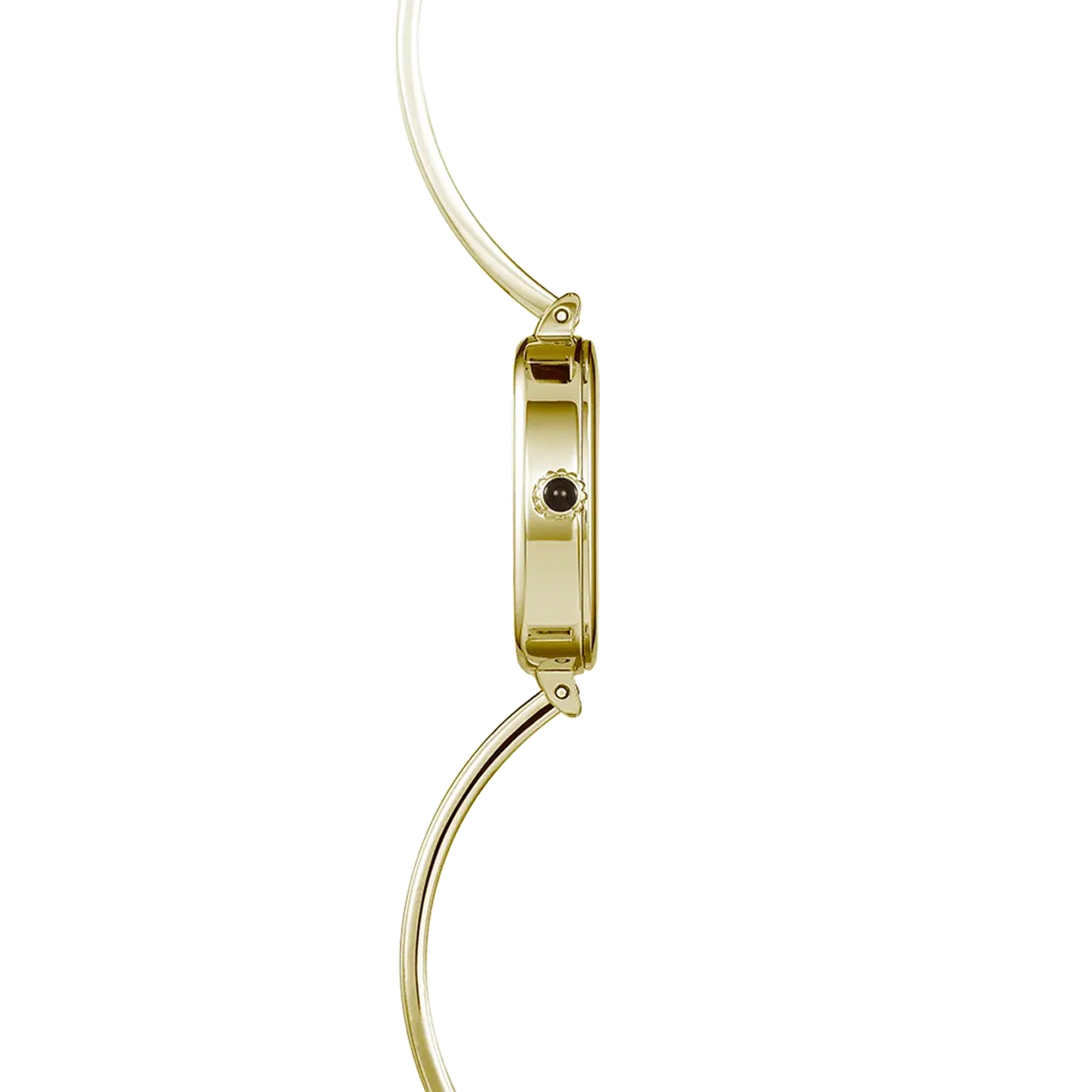 Vue de profil, tranche acier PVD or jaune, couronne et attaches du bracelet acier bicolore