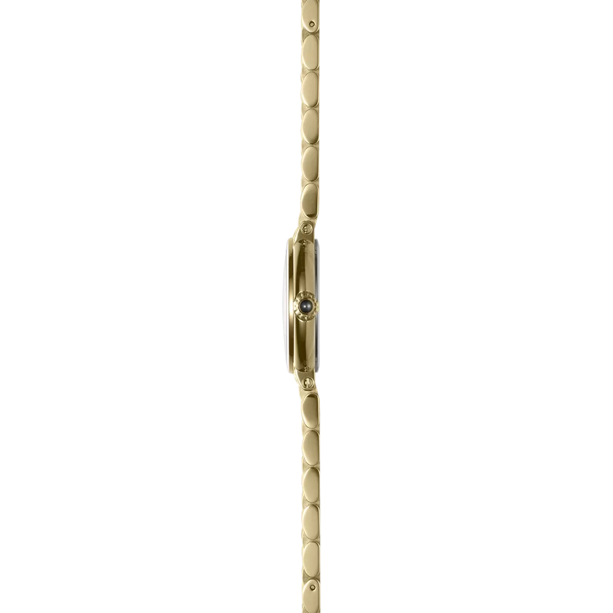 Vue de profil, tranche acier PVD or jaune, couronne et attaches du bracelet acier bicolore