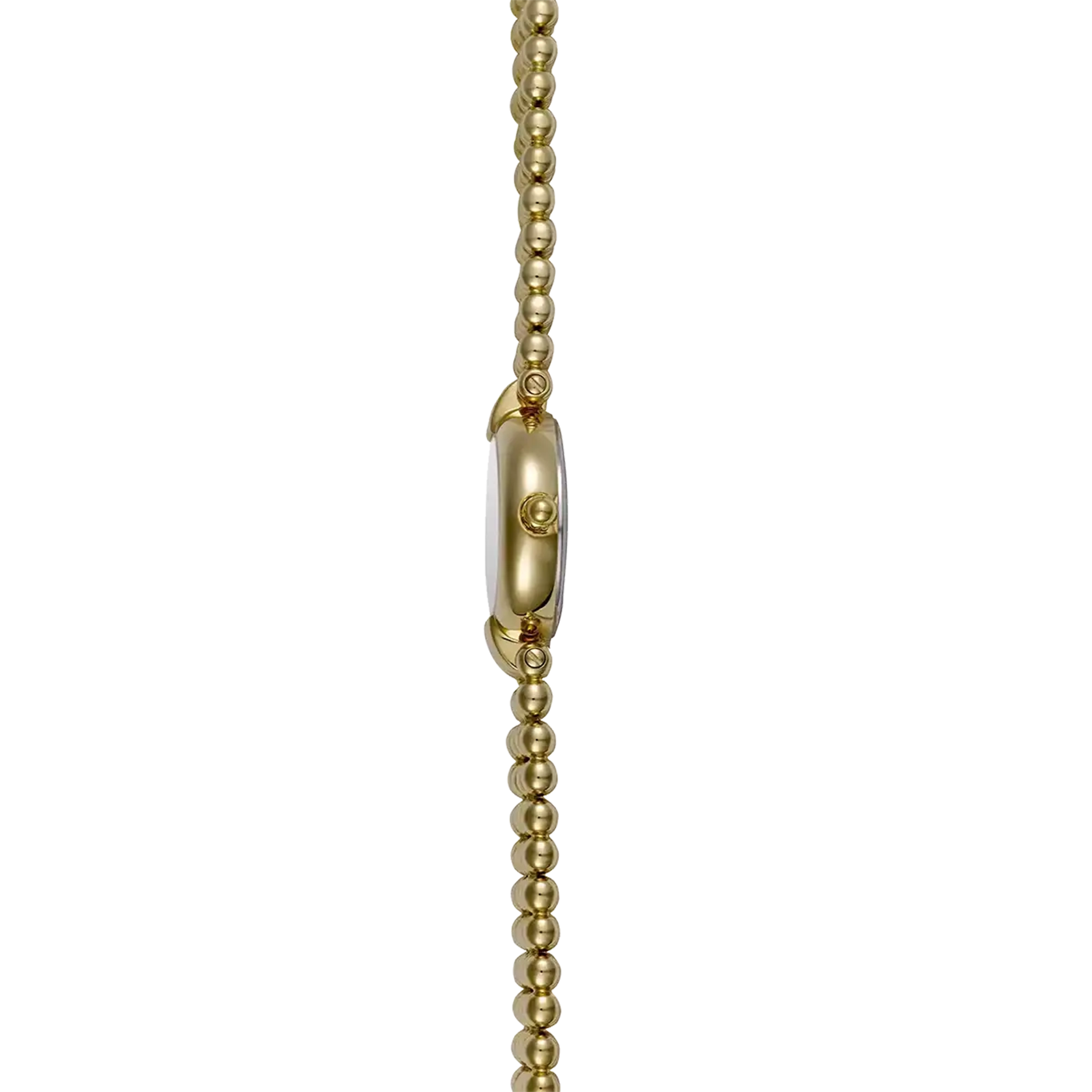 Vue de profil, tranche acier PVD or jaune, couronne et attaches du bracelet acier bicolore