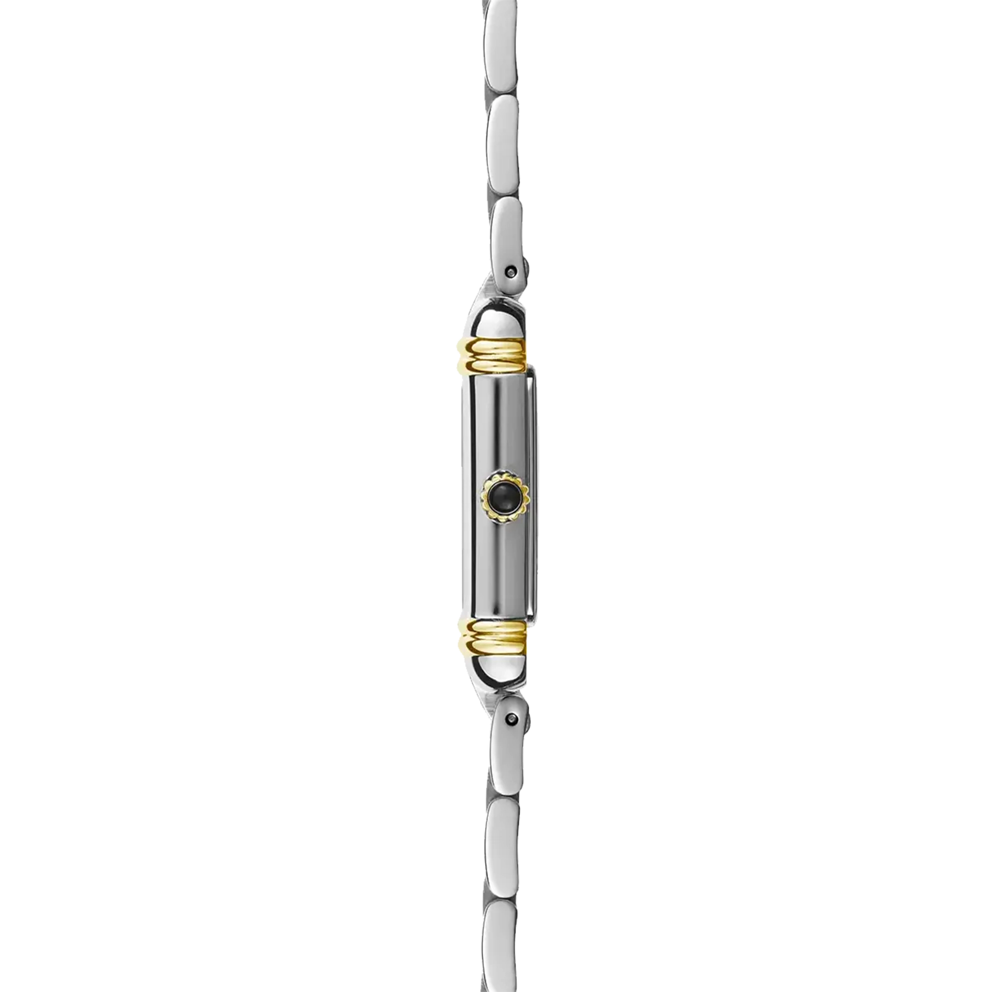 Vue de profil, tranche acier PVD or jaune, couronne et attaches du bracelet acier bicolore