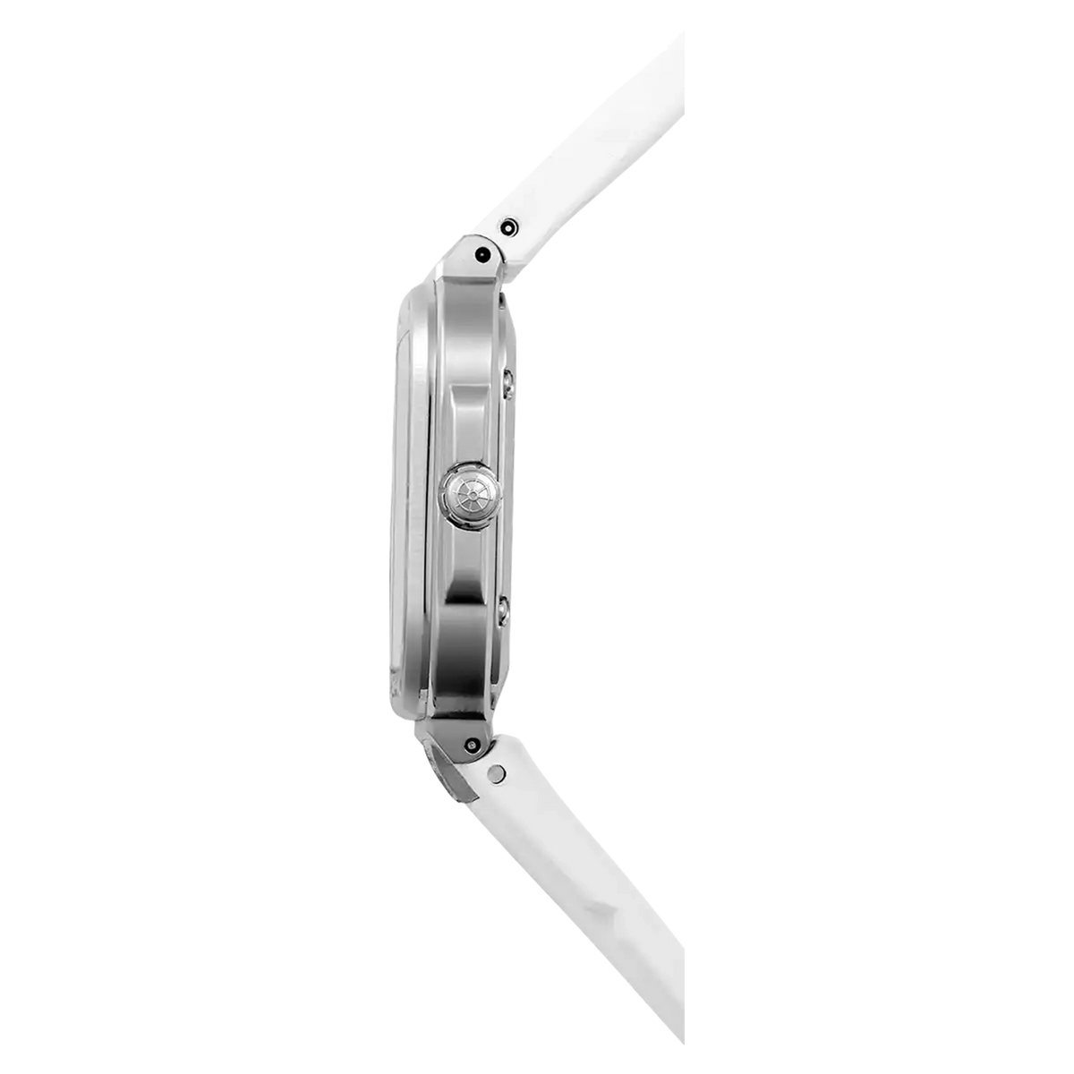 ⁣⁢Profile view, steel edge, crown and rubber strap attachments⁤⁣