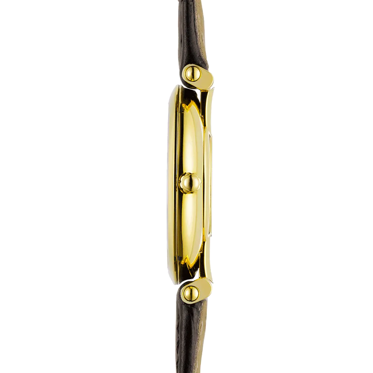 profil montre herbelin epsilon cadran plaque or jaune